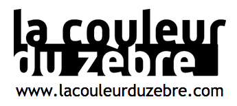 Agence de communication la couleur du Zèbre
